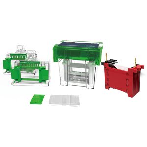 올인원 전기영동 및 블로팅 시스템