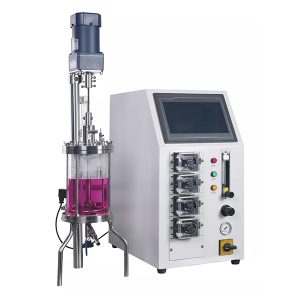 유리 효소 반응기