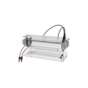 고처리량 수직 전기영동 셀