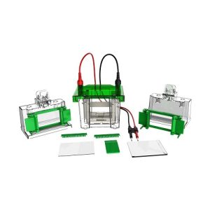 미니 수직 전기영동 셀