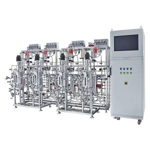 다중 병렬 스테인리스 발효조