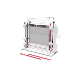 핵산 염기서열 분석 전기영동 세포