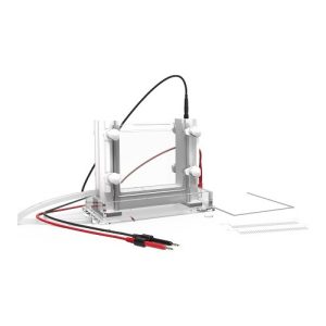 수직 전기영동 셀